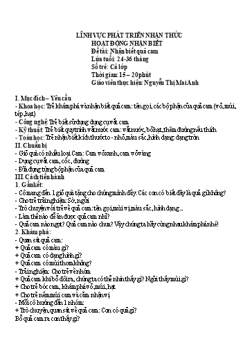 Giáo án Steam Mầm non Lớp Nhà trẻ - Đề tài: Nhận biết quả cam - Nguyễn Thị Mai Anh