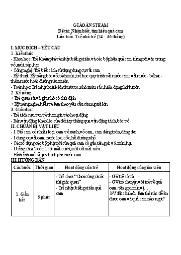 Giáo án Steam Mầm non Lớp Nhà trẻ - Đề tài: Nhận biết, tìm hiểu quả cam