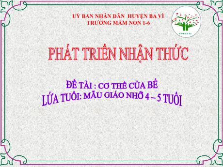 Giáo án Steam Mầm non Lớp Chồi - Đề tài: Cơ thể của bé - Trường Mầm non 1-6