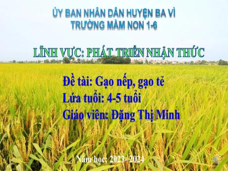 Giáo án Steam Mầm non Lớp Chồi - Đề tài: Gạo nếp, gạo tẻ - Năm học: 2023- 2024 - Đặng Thị Minh