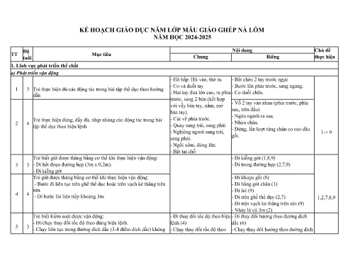 Kế hoạch giáo dục Steam Mầm non Lớp Chồi + Lá - Năm học 2024-2025 - Nguyễn Thanh Thương