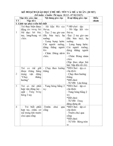 Kế hoạch giáo dục Steam Mầm non Lớp Nhà trẻ - Chủ đề: Tết và mùa xuân - Năm học 2024-2025 - Đinh Thị Hồng Nhung